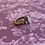 Thumbnail: Lilac Intaglio Ring