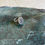 Thumbnail: Sterling Trumpet Cherub Cameo Ring