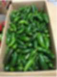 Urban Garden 6.jpg