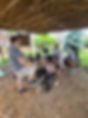 20230705_120139.jpg