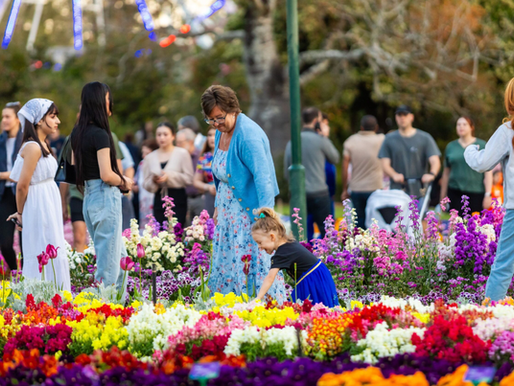 Toowoomba's about to drown in 40 million flowers, and it's the most underrated road trip from Brisbane
