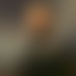 Заседание ТДС 03.01 2020 