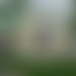 Юбилейные мероприятия в Бородино 31 августа - 8 сентября 2019 года