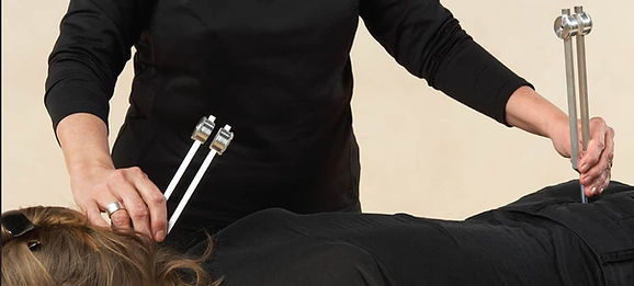 Ohm tuning forks_edited.jpg