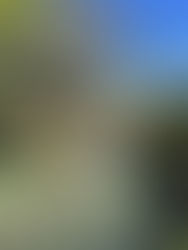 Nova Xavantina - MT: Entre rios, cachoeiras e fervedouro