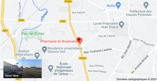 google maps.png