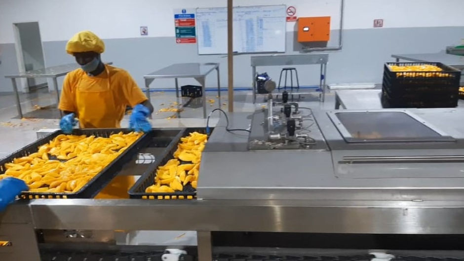 Mango Dehydrator