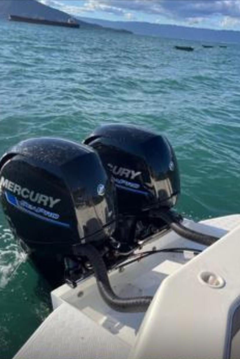 Miniatura: 25 REAL PRO FISH