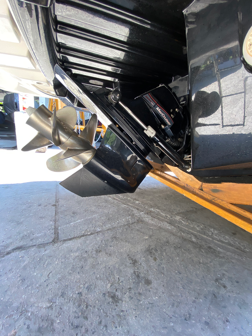 Miniatura: FOCKER 27.2