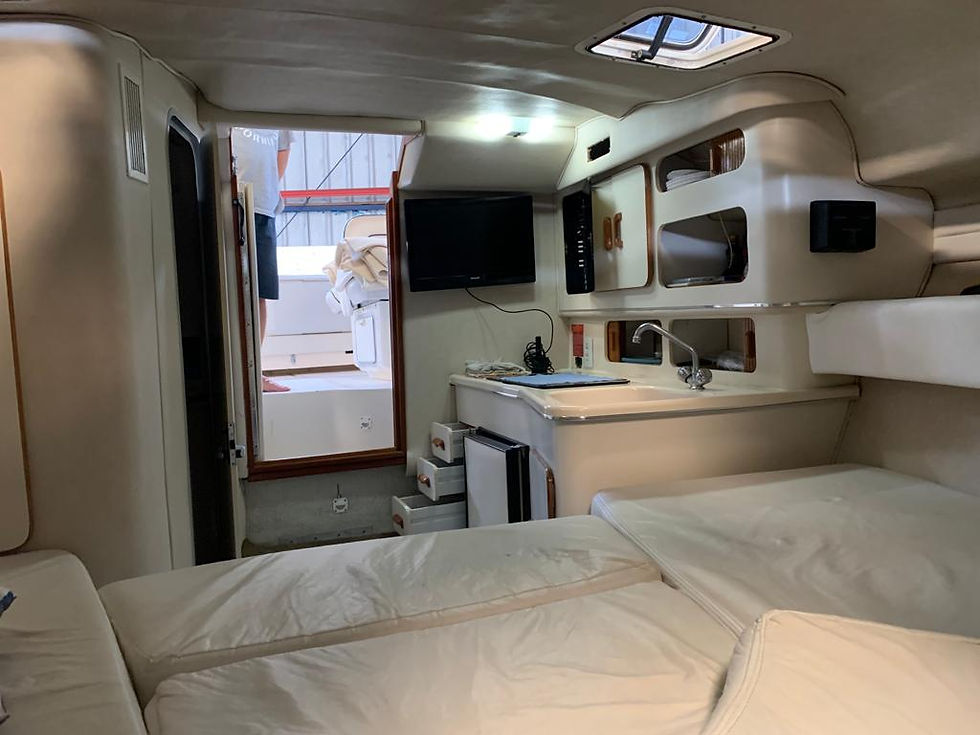 Miniatura: SEA RAY 30