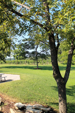 Indiana Tasting Room