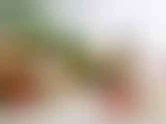 Vegano precisa B12? Entenda como se cuidar