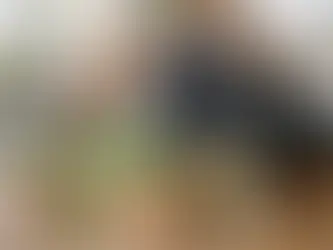 Alimentação vegana para recuperação muscular