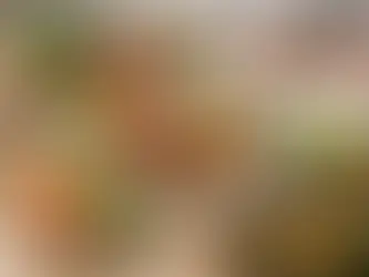 Como organizar refeições plant based sem rigidez