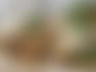 Como comer proteína sem carne no dia a dia