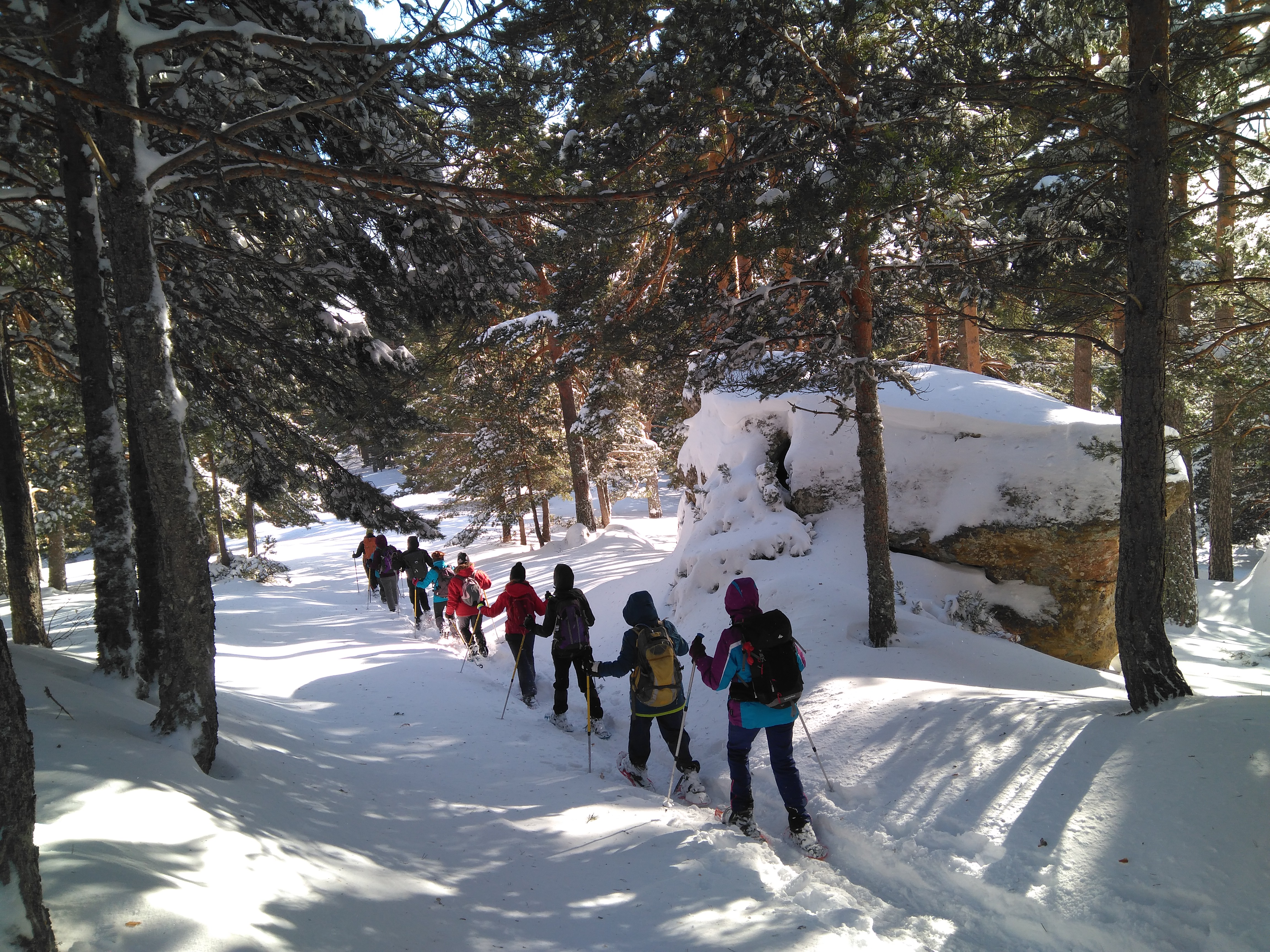 raquetas de nieve