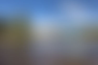 Still looking for something to do this summer?