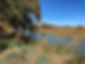 IMG_0851.jpeg