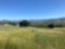 IMG_1235.jpeg