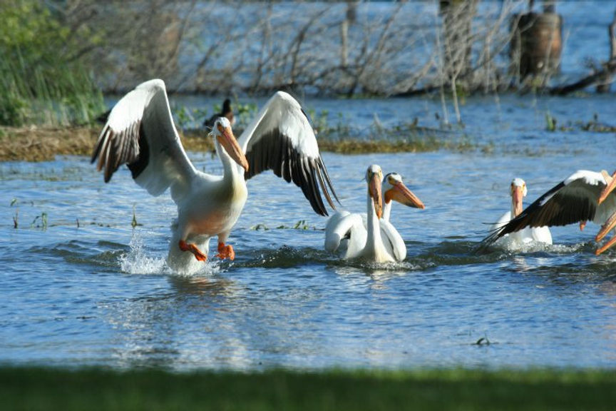 Lake County Land Trust