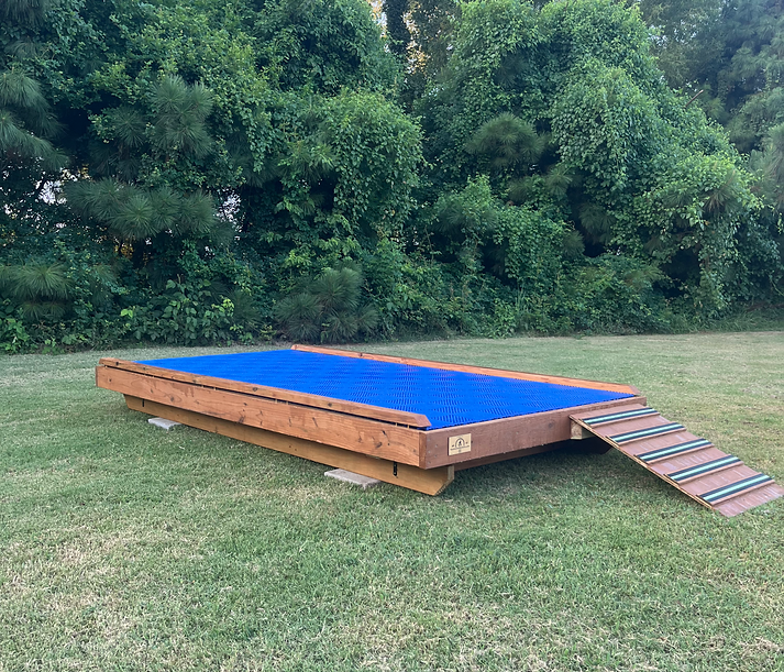 hustleline kennels raised platform 5x10 custom outdoor dog kennel