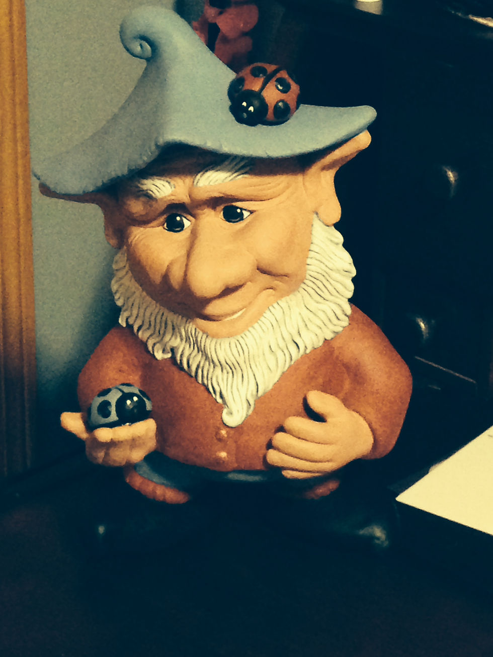 Gnome