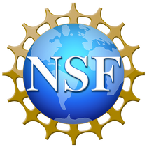 Research grant from NSF has been awarded.