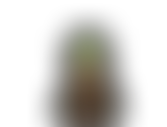 Gobsworth - Gorlok - Beast Tamer