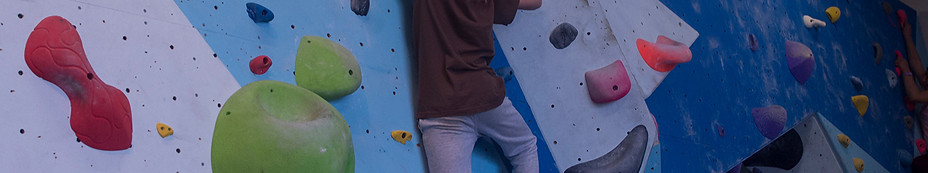 080fd561-1be3-483b-b925-fd64a4378382_edited_edited.jpg