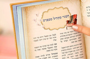 רויטל דוידסון אימון אישי