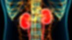 AdobeStock_304480231.jpeg
