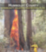 Humboldt County Community Wildfire Protection Plan