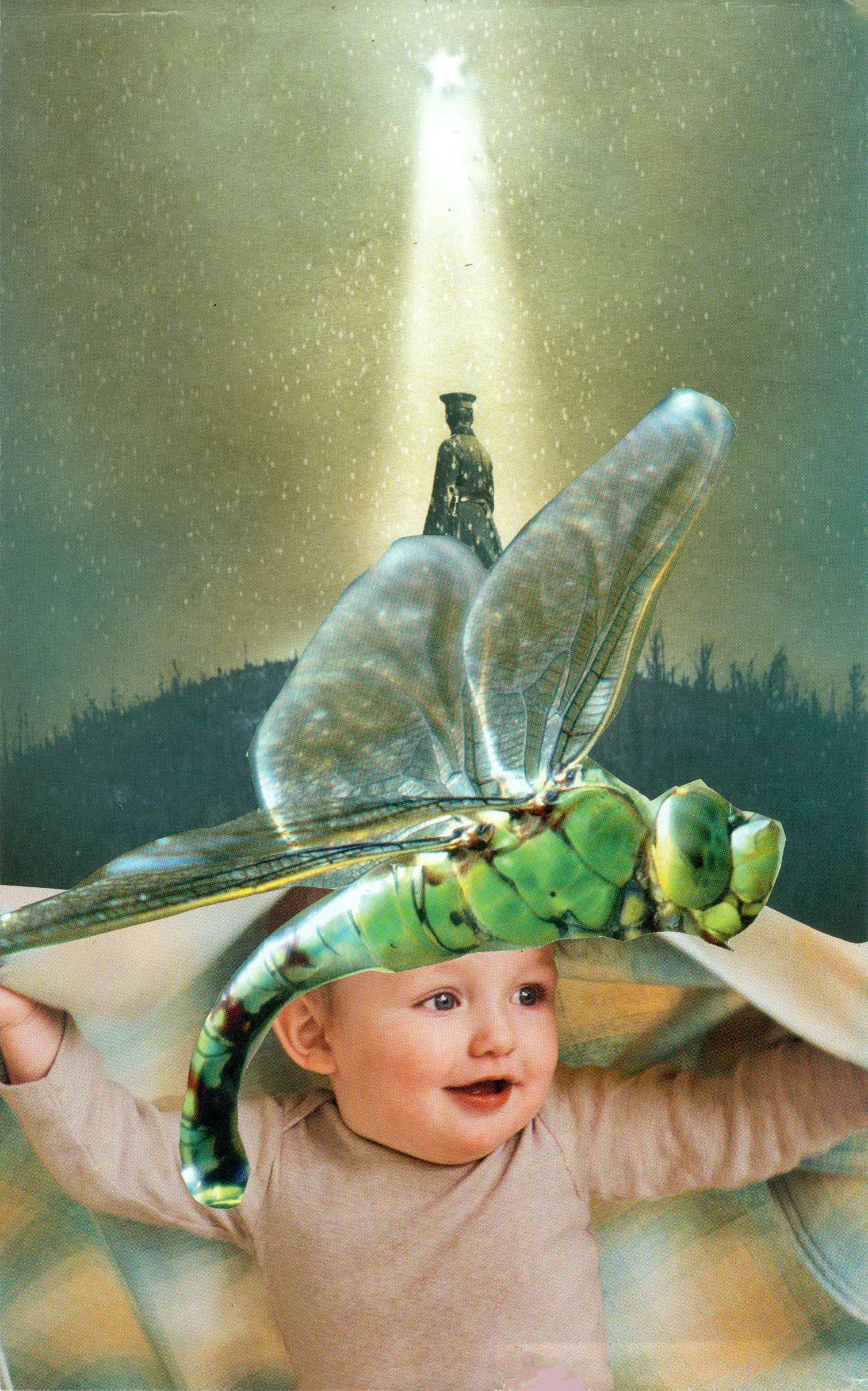 Dragonfly Dream