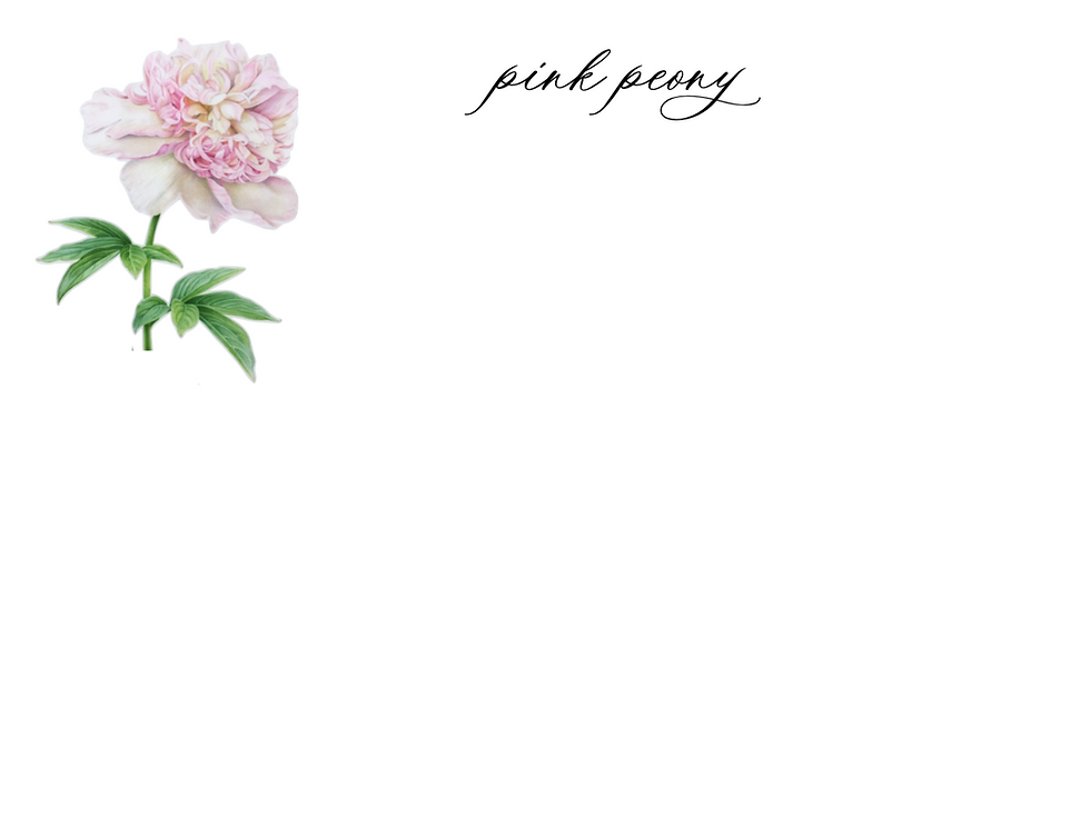Thumbnail: Le Fleur Note Card Set of 8 Starting at $36.00