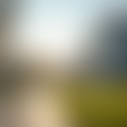 Pursue an Accredited Homeland Security Degree Online: Your Path to a Critical Career