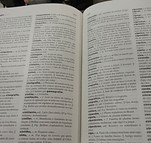 Palavra certa.jpg
