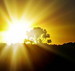 amanhecer.jpg