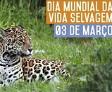 VIDA SELVAGEM.jpg