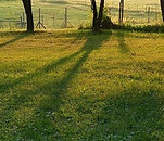 Natureza.jpg