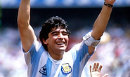 eL pIBE.jpg