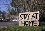 Stay.jpg