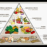 piramide-alimentar.jpg