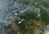 Amazonia arder.jpg
