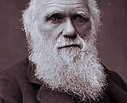 Darwin.jpg