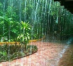 chuva certinha.jpg
