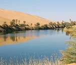 oasis.jpg