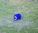 Braçadeira.jpg