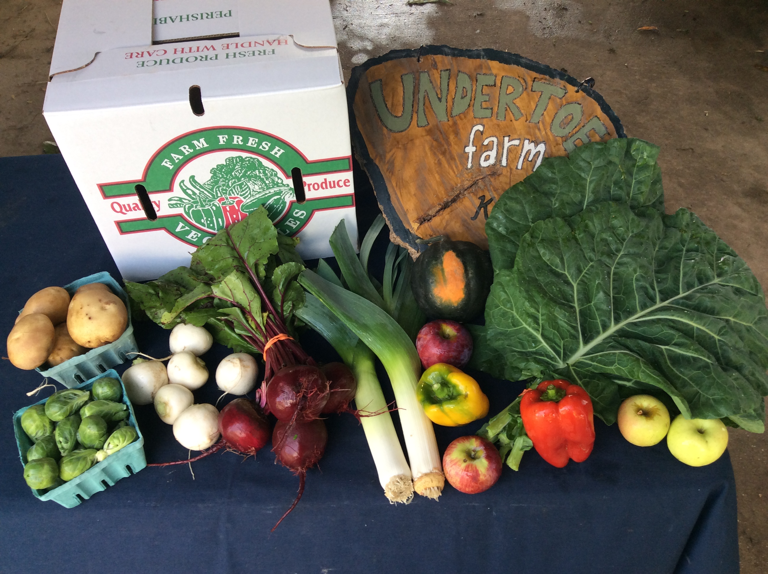 Fall Box