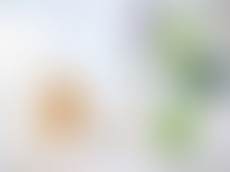 美白を目指せる素敵なサロン