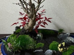 庭まわりの施工にも対応する造園用品店